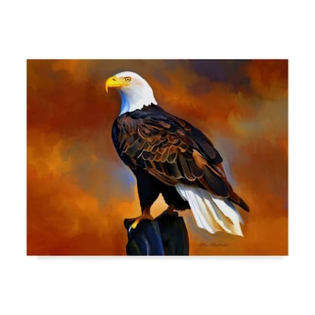 Trademark Fine Art